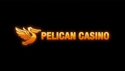 Pelican_lekarziprawo.pl_№2